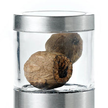Load image into Gallery viewer, AdHoc Muskatino Nutmeg Mill and Grinder
