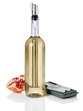 Load image into Gallery viewer, AdHoc Icepour Wine Chiller and Pourer
